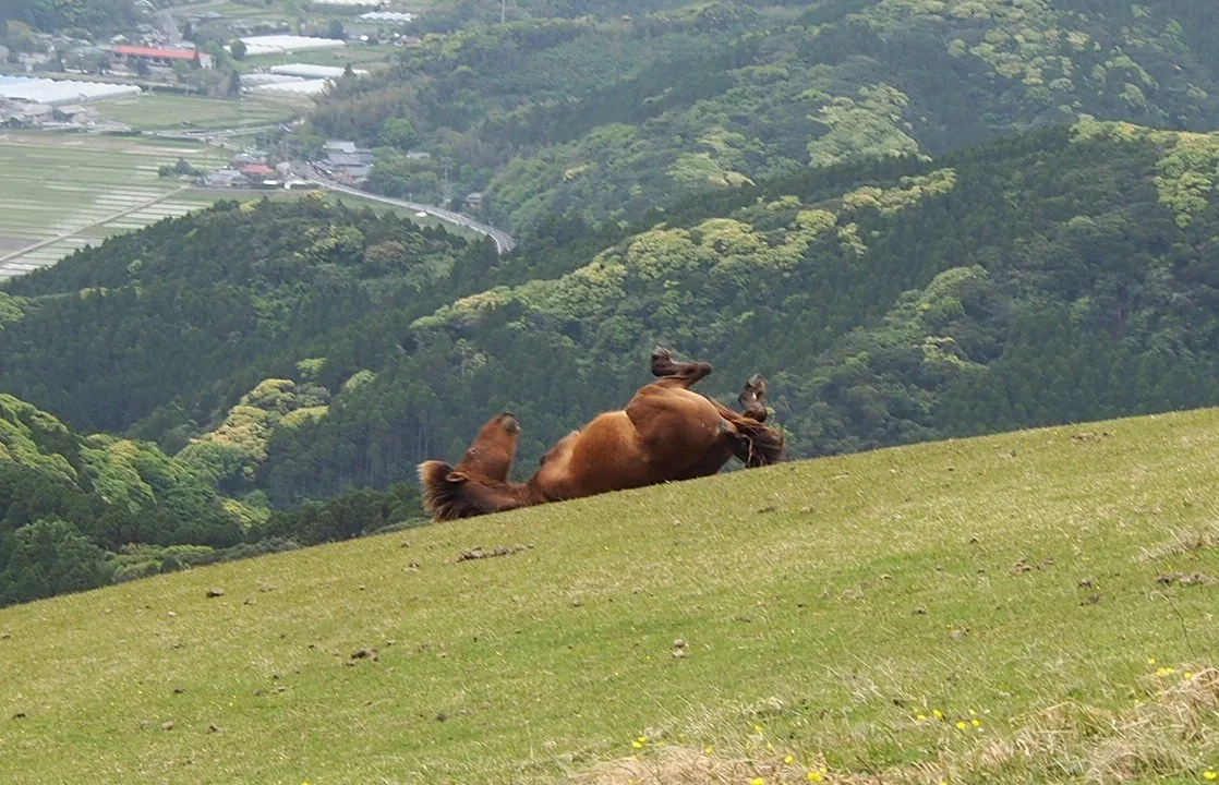 扇山