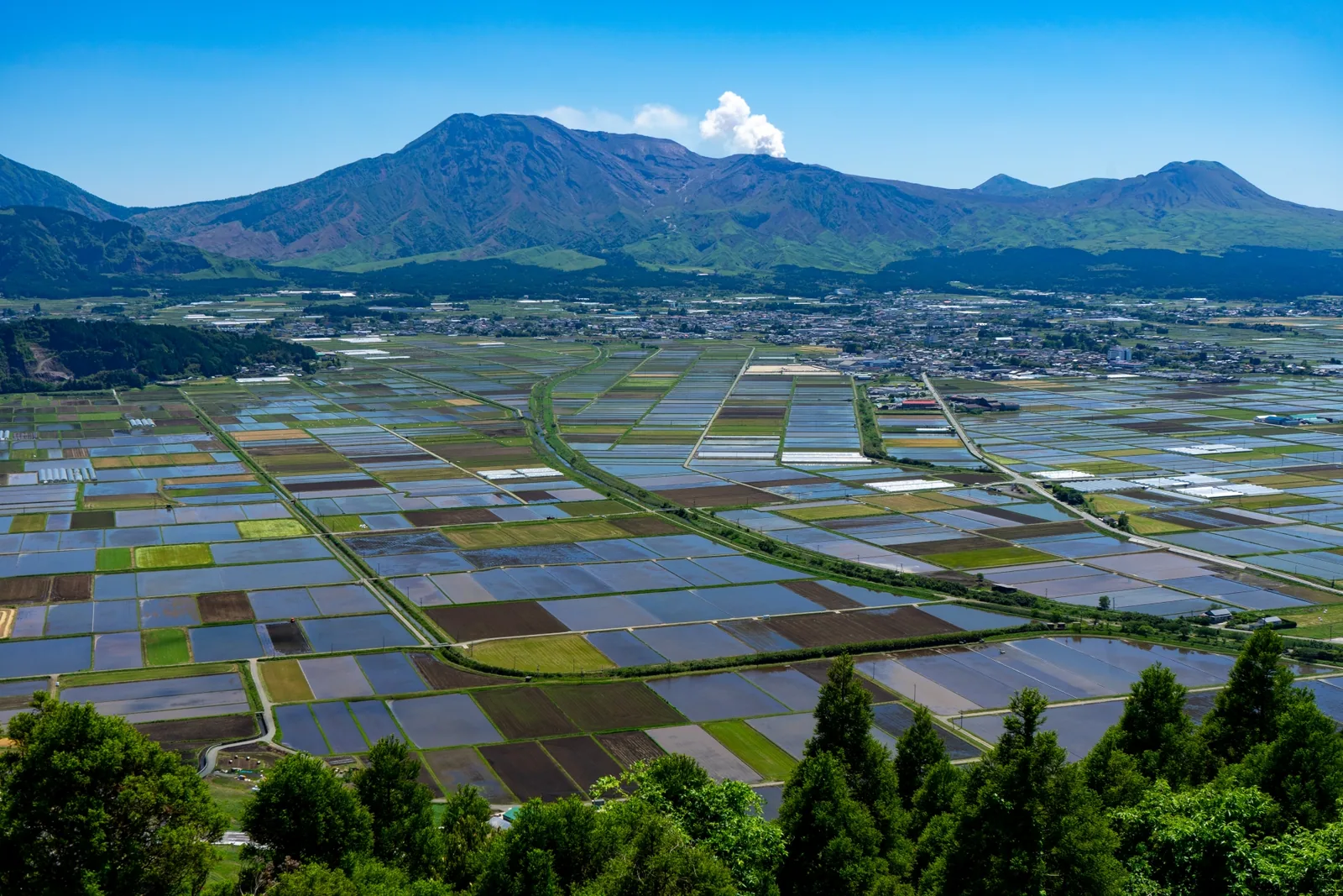 城山展望所