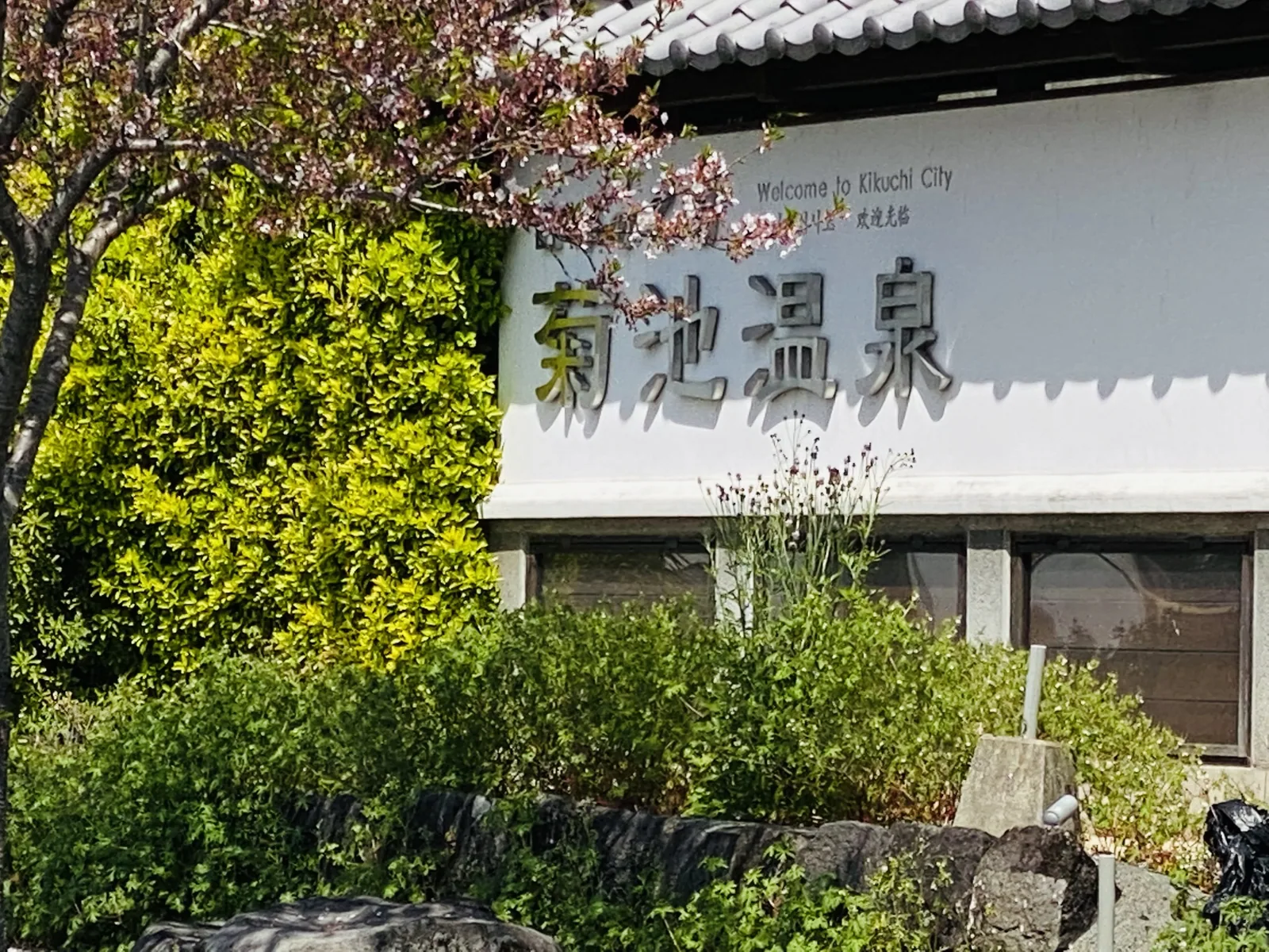 菊池温泉