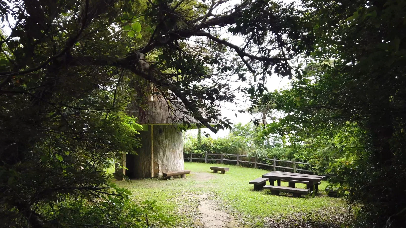 油井岳・高知山展望台