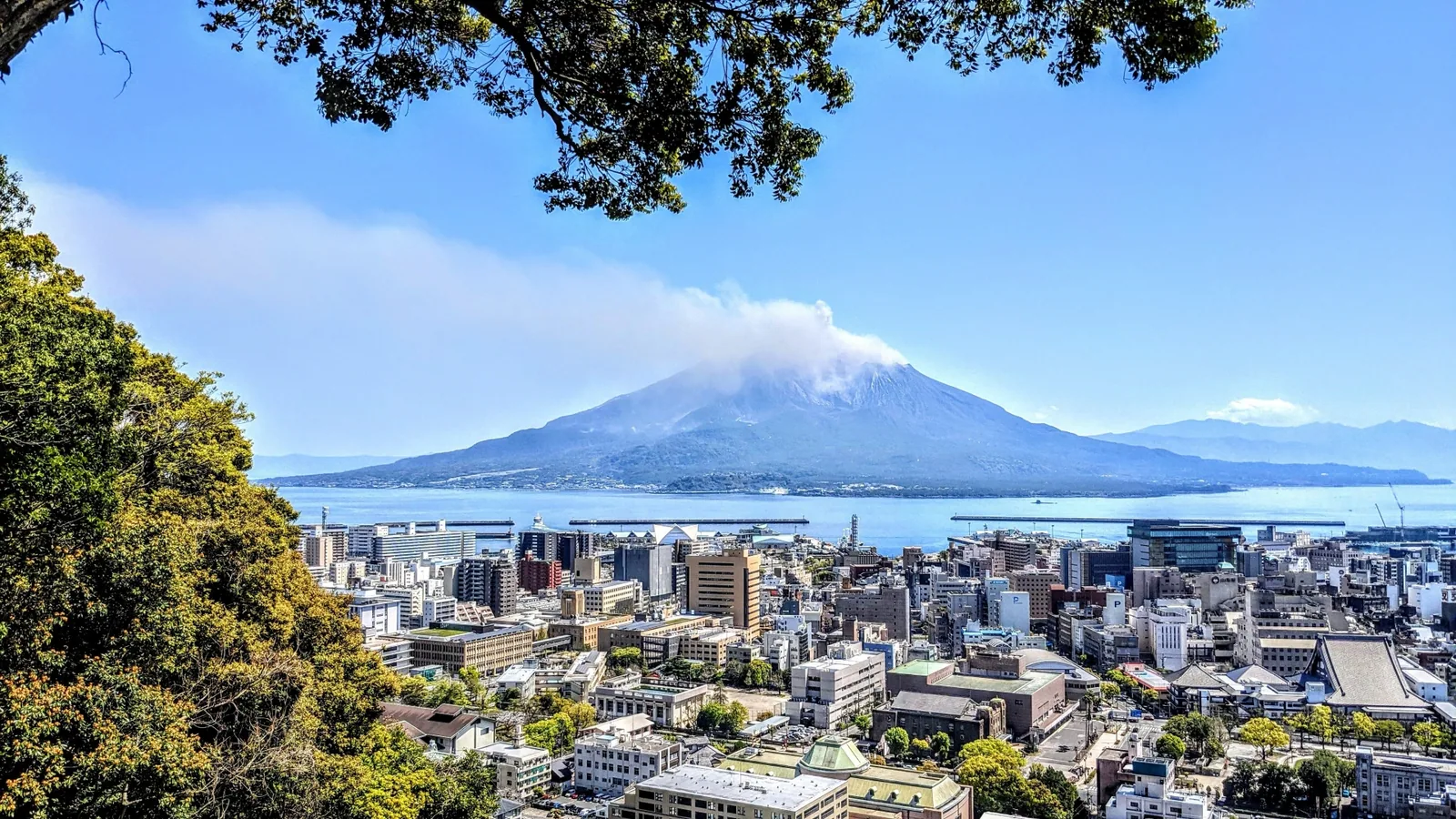 城山（城山展望台・城山自然遊歩道）