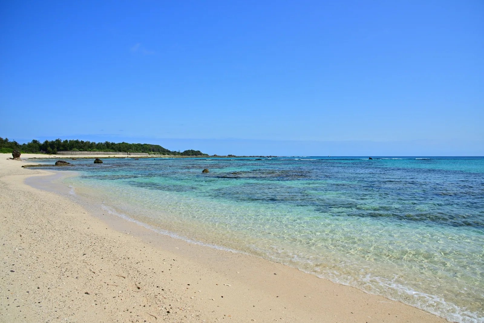 土盛海岸