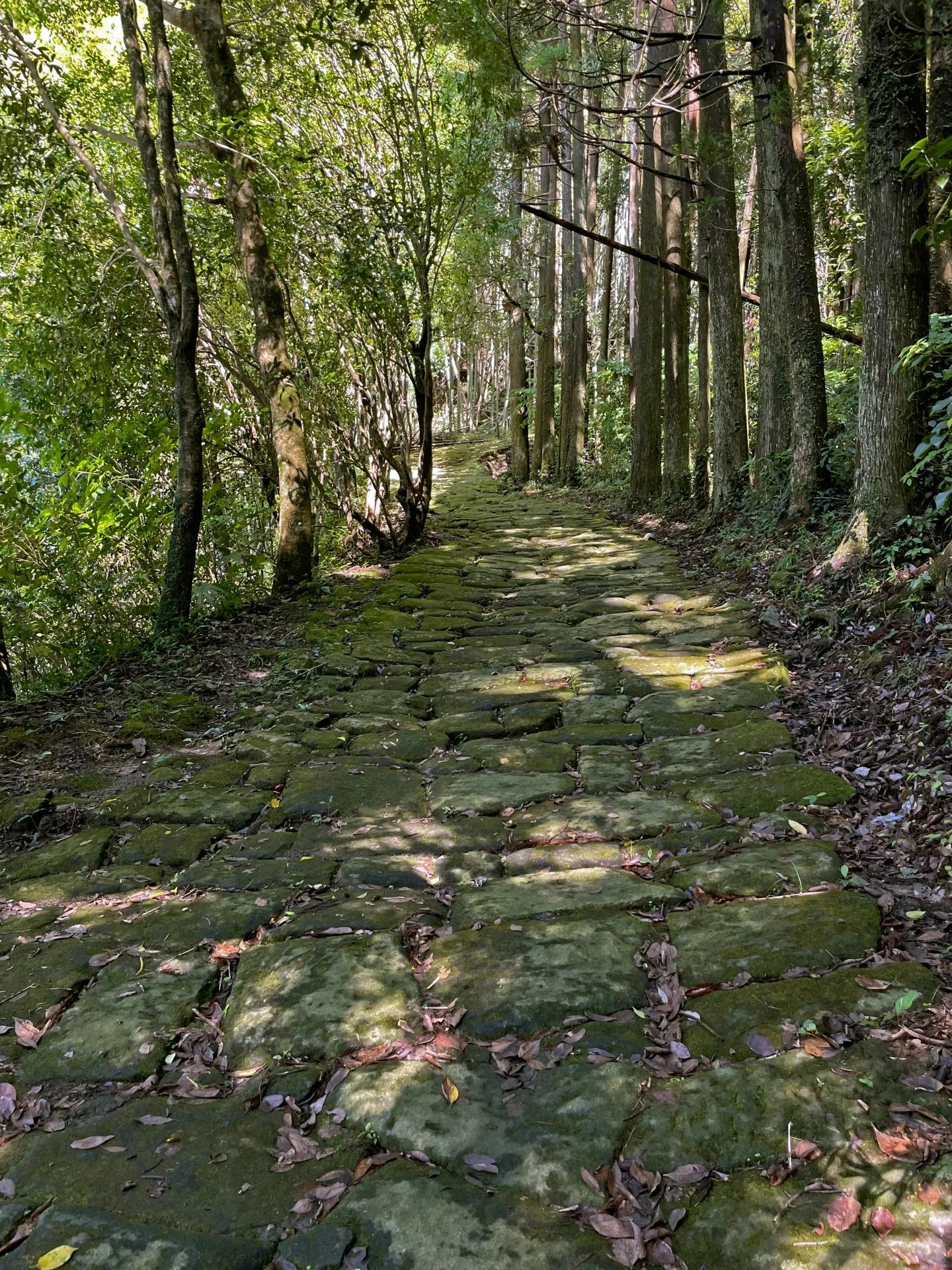 龍門司坂（国指定史跡）