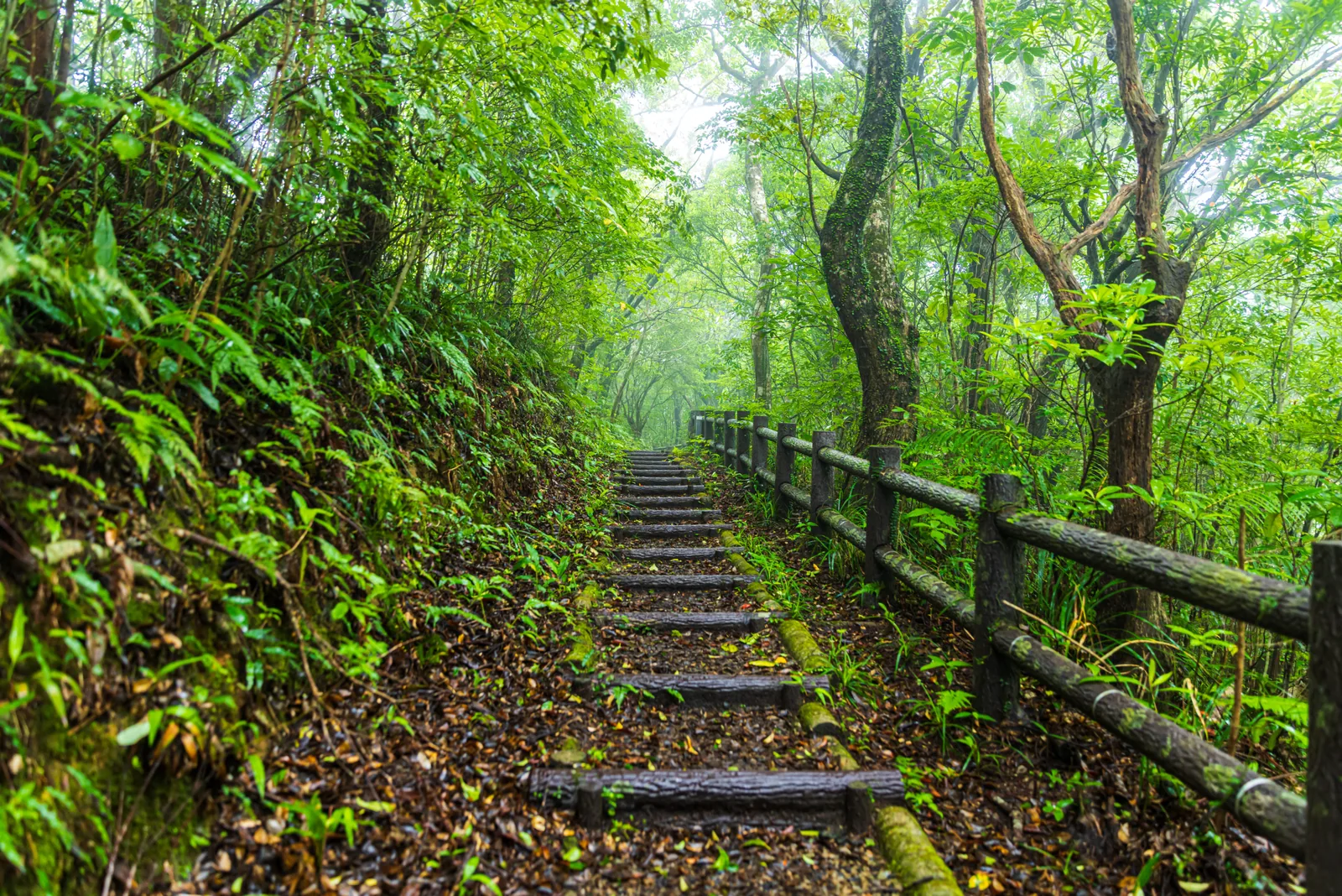 高知山