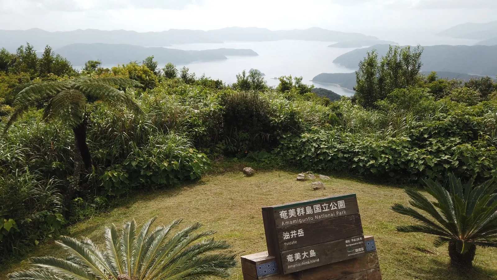 油井岳