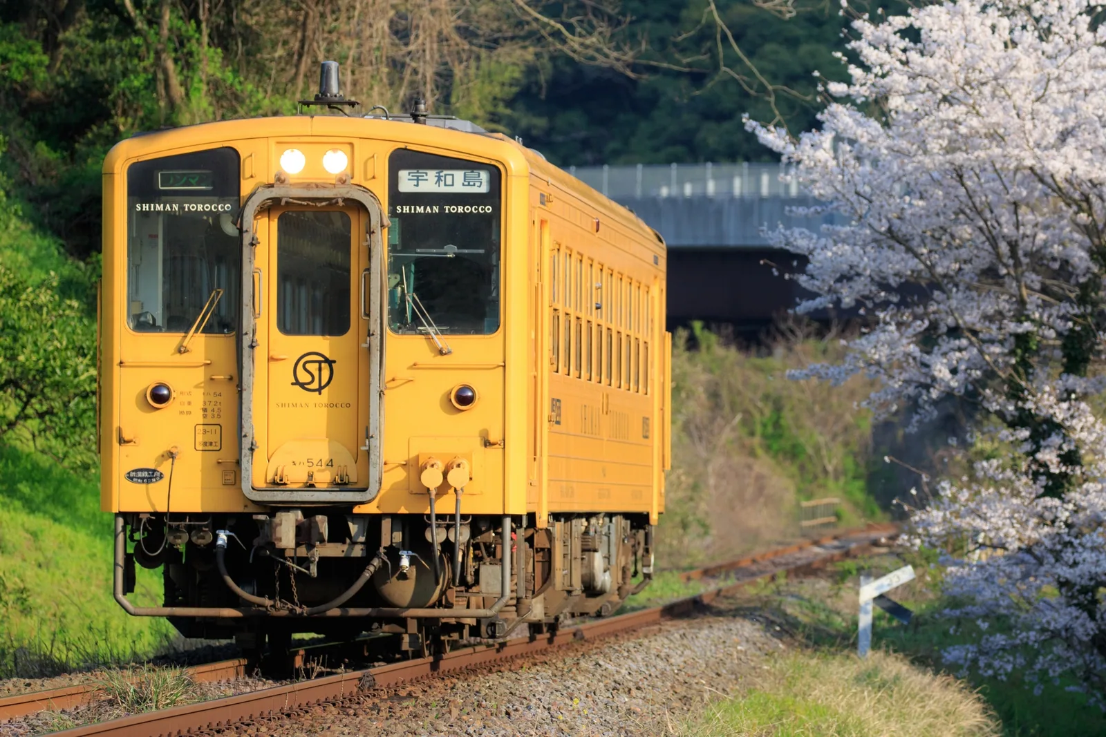 しまんトロッコ