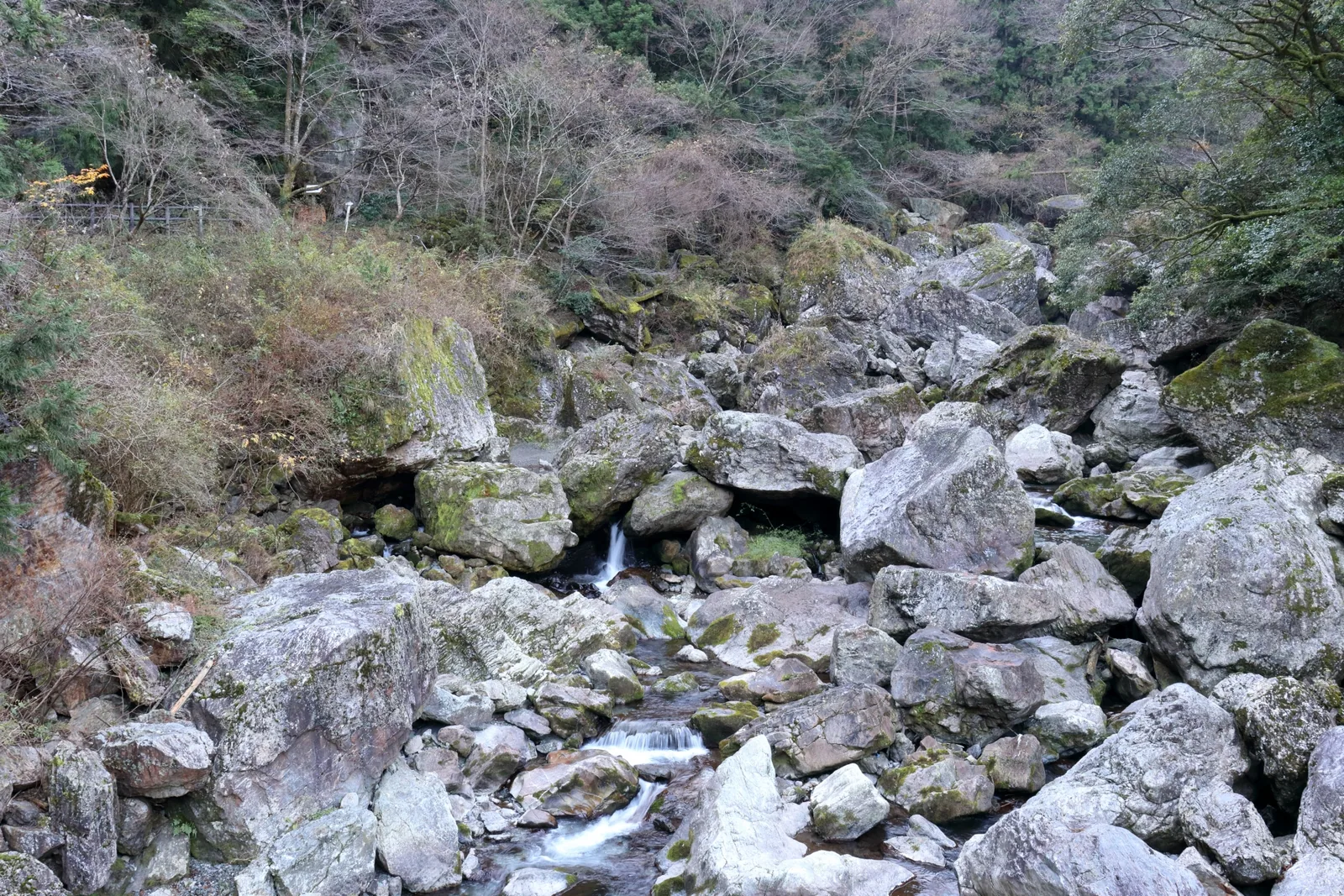 岩屋川渓谷