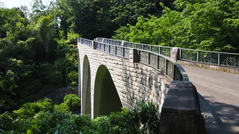 県立七沢森林公園