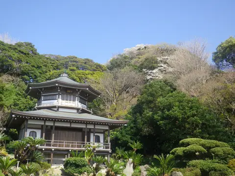 光明寺