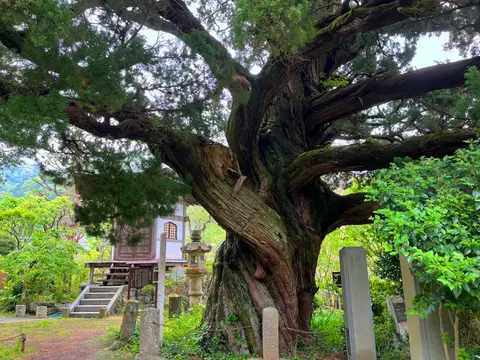 城願寺