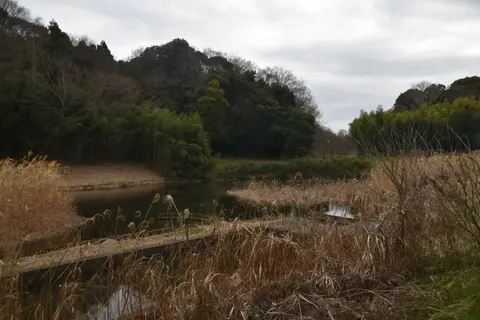 神奈川県立茅ケ崎里山公園