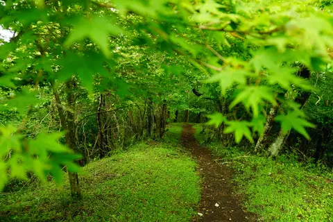 足柄万葉公園