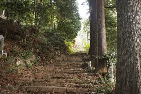 大楠山ハイキングコース