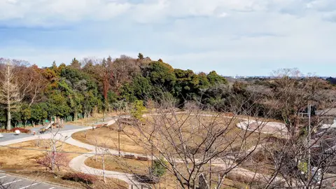 飯山白山森林公園