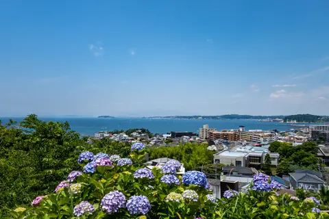 あじさい公園