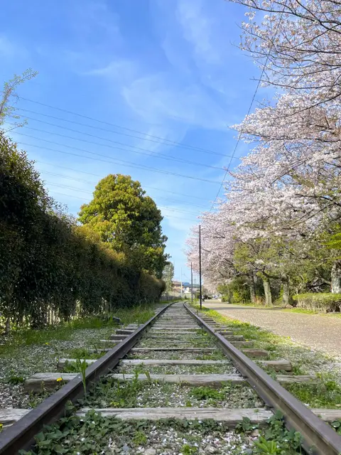 一之宮公園