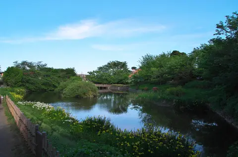 秦野盆地湧水群