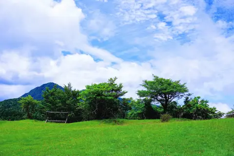 足柄城址