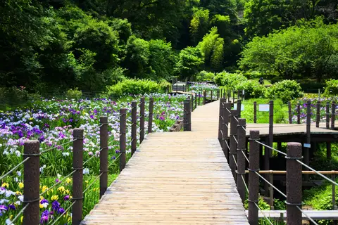 二宮せせらぎ公園