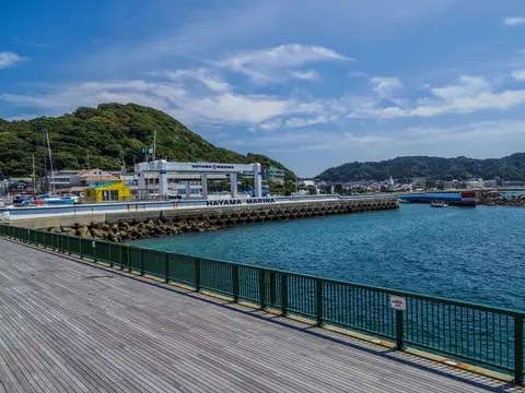 葉山港