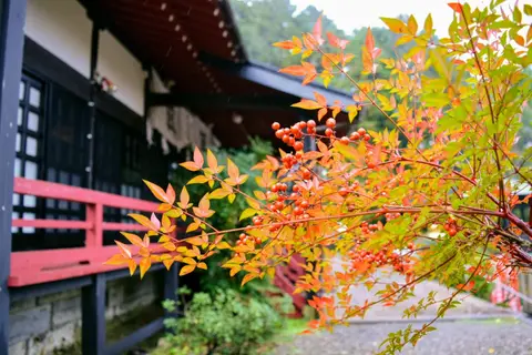立國寺(出世観音)