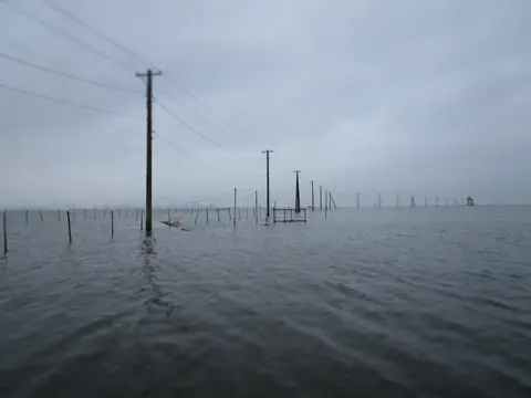久津間海岸潮干狩り場