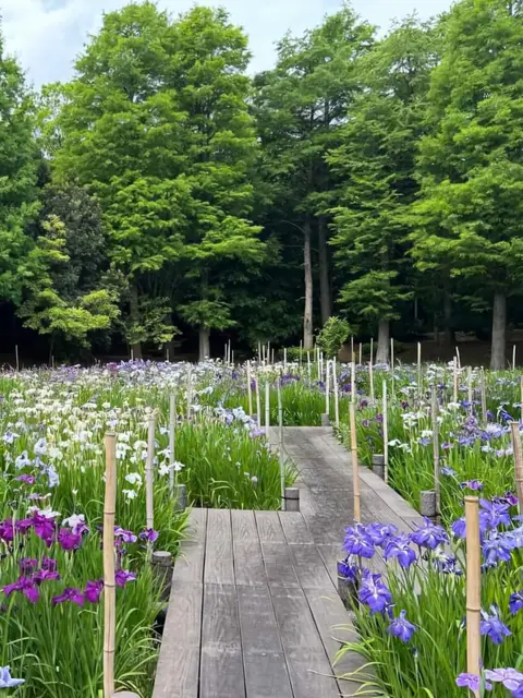 香澄公園