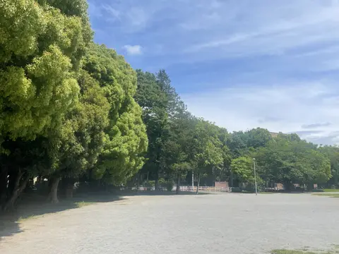 松戸中央公園