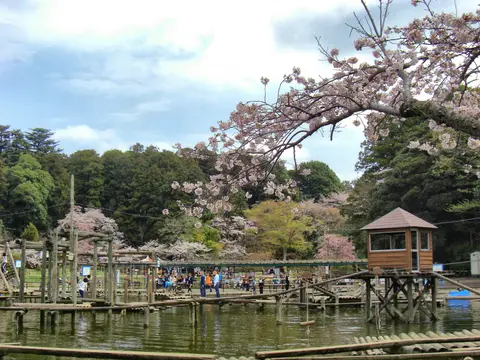 清水公園