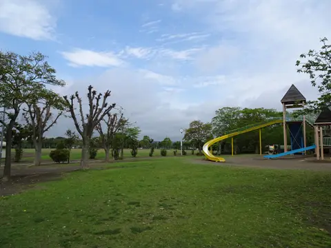 百目木公園