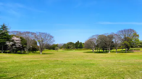 昭和の森