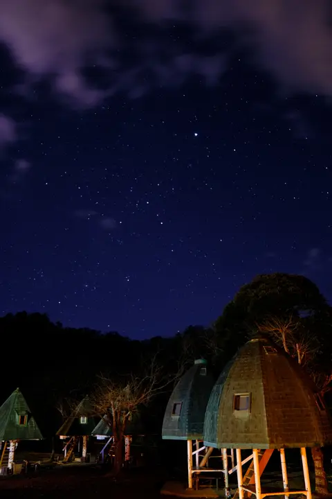 清和県民の森