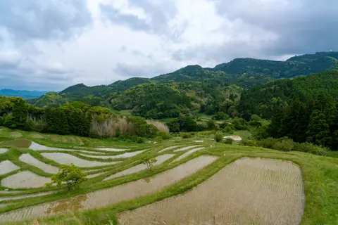大山千枚田