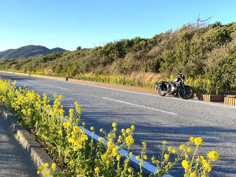 房総フラワーライン