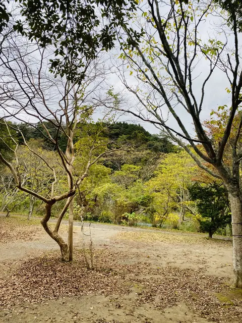 オートキャンプ・フルーツ村