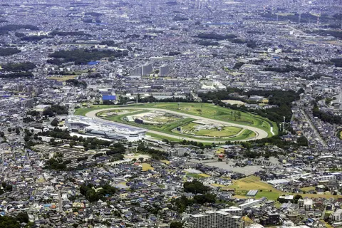 中山競馬場