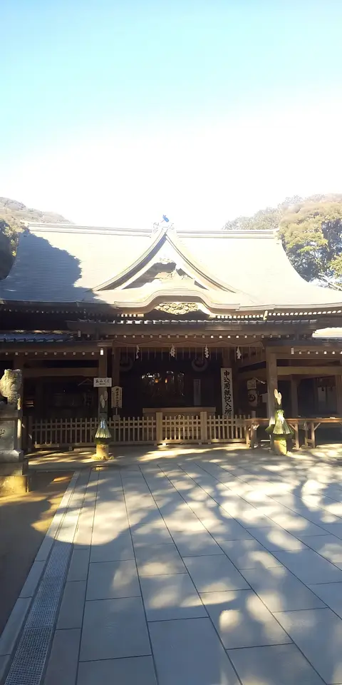 猿田神社の森