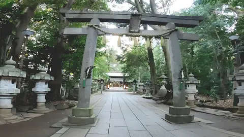 駒木諏訪神社