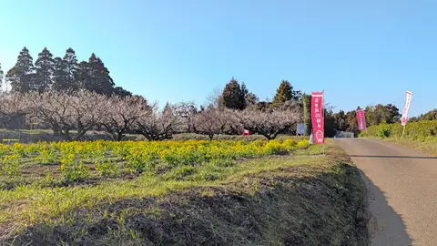 坂田城跡