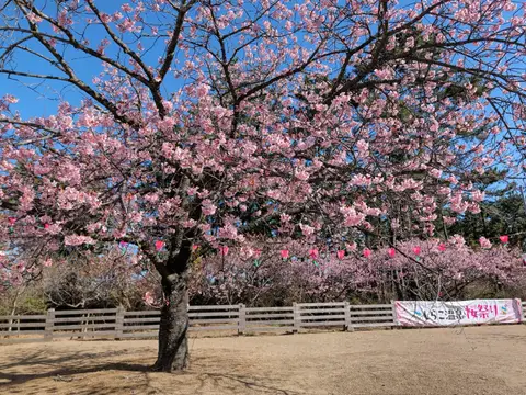 白子温泉