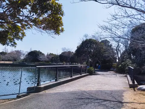 ふれあい坂田池公園