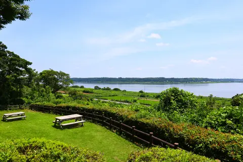 千葉県立印旛沼公園
