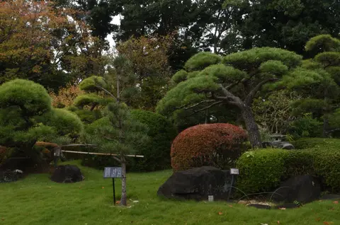 市川市万葉植物園