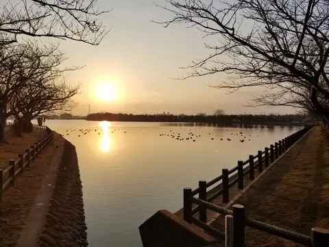 袋公園