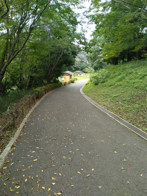 富里中央公園