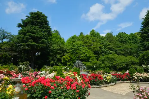 里見公園