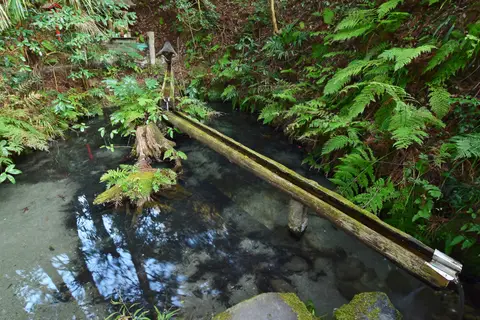 熊野の清水