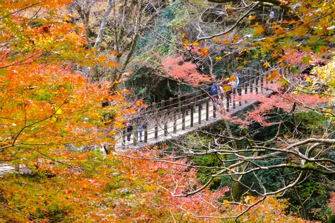 花貫渓谷