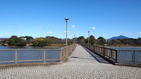 砂沼広域公園 観桜苑