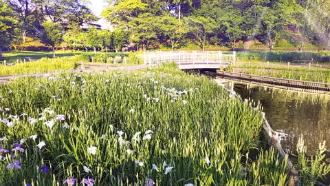 四季の里公園